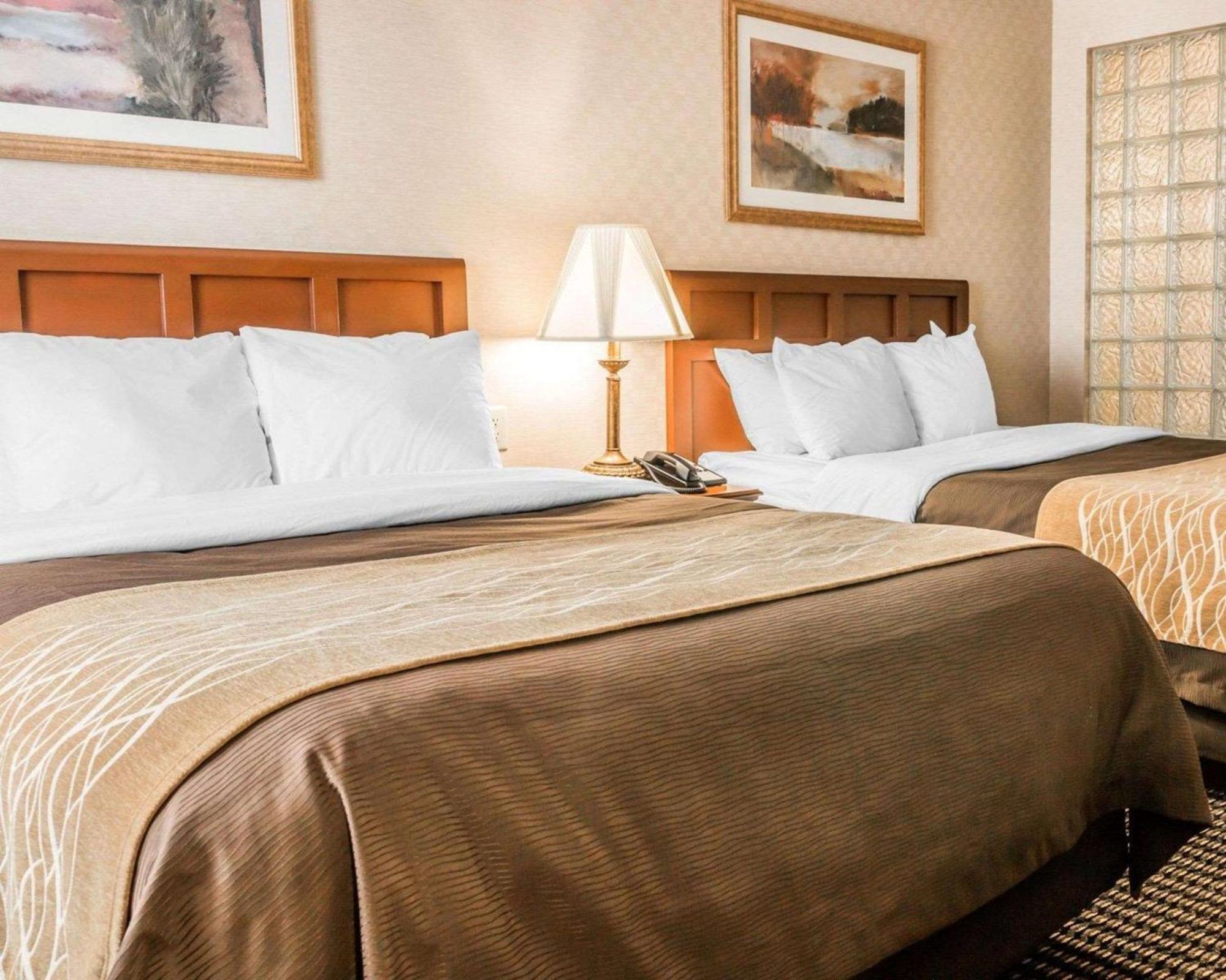 Comfort 3*
