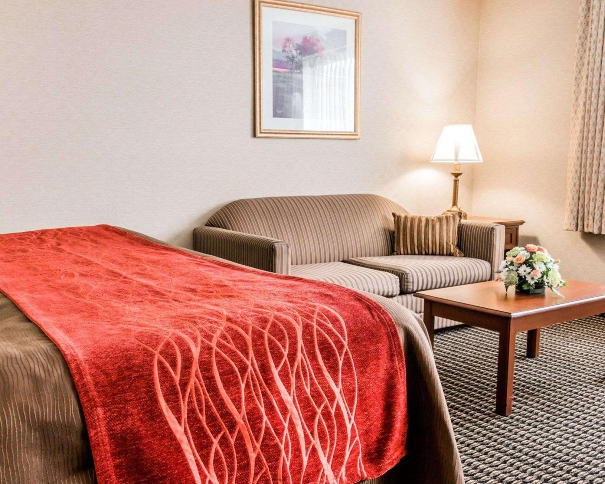 Comfort 3* Utica