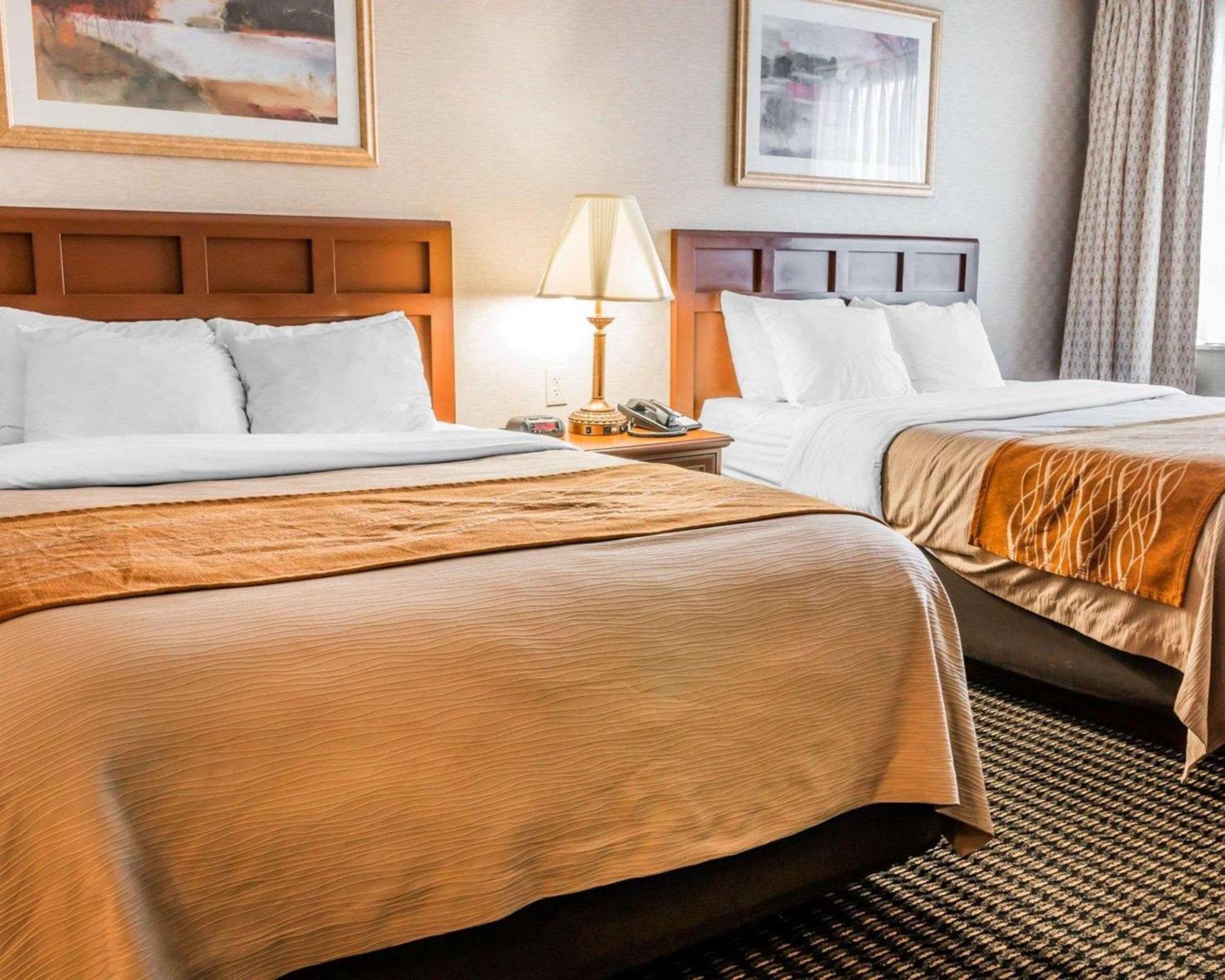 Comfort 3*