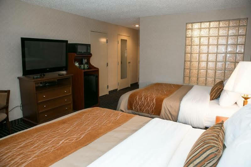 Comfort Utica